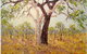 Peter Lawson Fine Art - thumb 1