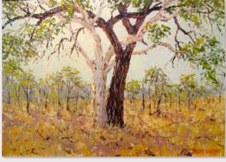 Peter Lawson Fine Art - Accommodation Georgetown 1