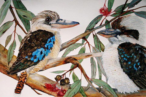 Two Birds Gallery - Accommodation Georgetown 3