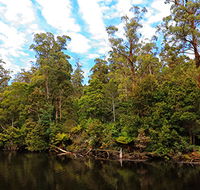 A R Reflections River Cruises - Accommodation Georgetown