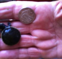 Hurleys Aquariums - Accommodation Georgetown