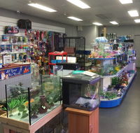 Nambour Pet Shop - Accommodation Georgetown