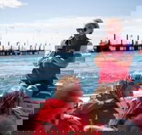 Rottnest Island Tour from Perth or Fremantle including Adventure Speed Boat Ride - Accommodation Georgetown