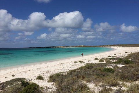Abrolhos Island Half Day Fly And Flipper - Accommodation Georgetown 0