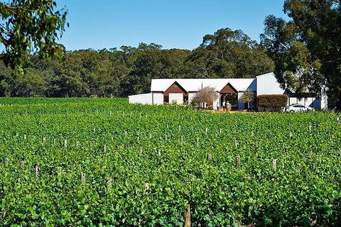 Upper Reach Winery: Swan Valley Winery And Vineyard Tour - Accommodation Georgetown 0