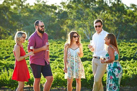 Upper Reach Winery: Swan Valley Winery And Vineyard Tour - Accommodation Georgetown 7