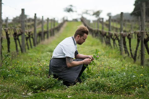 Vasse Felix Epicurean Tour And Tasting Experience With 5 Course Lunch - Accommodation Georgetown 9