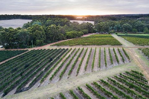 Vasse Felix Epicurean Tour And Tasting Experience With 5 Course Lunch - Accommodation Georgetown 7