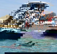 Mandurah Dolphin and Scenic Marine Cruise - Accommodation Georgetown