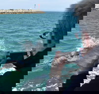 Mandurah Dolphin Island Adventure - Accommodation Georgetown