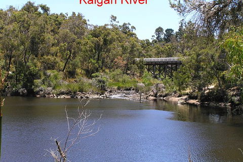 Kalgan Queen Scenic Cruises A Four Hour Sheltered Water Wildlife Tour Daily Fun. - Accommodation Georgetown 3