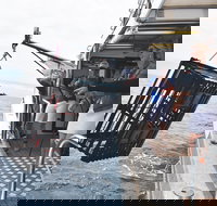 Rottnest Island Wild Seafood Package from Perth with Transfer - Accommodation Georgetown