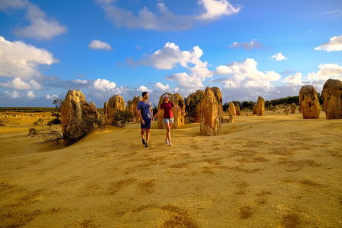 Half Day Pinnacles Sunset Tour - Accommodation Georgetown 3
