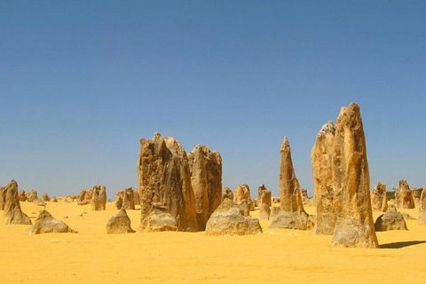 Half Day Pinnacles Sunset Tour - Accommodation Georgetown 6