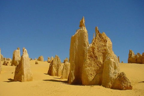 Half Day Pinnacles Sunset Tour - Accommodation Georgetown 5