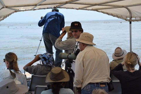 Lake Argyle Birdwatching Charter - Accommodation Georgetown 6