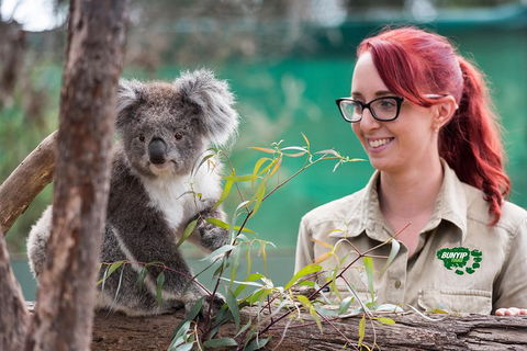 2-Day Phillip Island And Wilsons Promontory Tour From Melbourne - Accommodation Georgetown 0