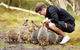 2-Day Phillip Island And Wilsons Promontory Tour From Melbourne - thumb 8