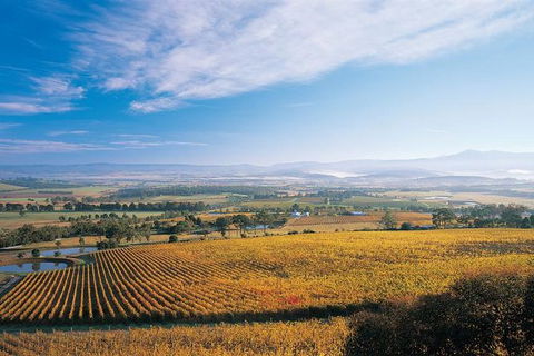 Melbourne City Tour And Half Day Yarra Valley In One Day - Accommodation Georgetown 5