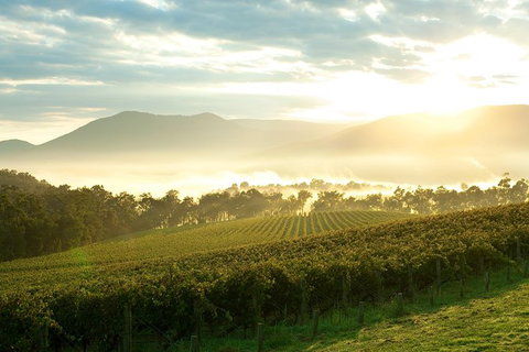 Yarra Valley Private Tour Including Healesville Sanctuary And Wineries - Accommodation Georgetown 0