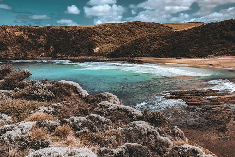 Small Group: Mornington Peninsula Hike And Hot Springs Day Tour From Melbourne - Accommodation Georgetown 1