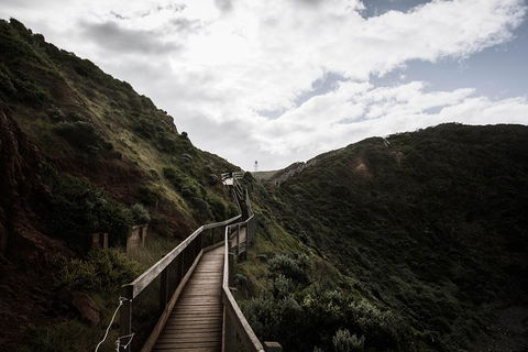 Small Group: Mornington Peninsula Hike And Hot Springs Day Tour From Melbourne - Accommodation Georgetown 7