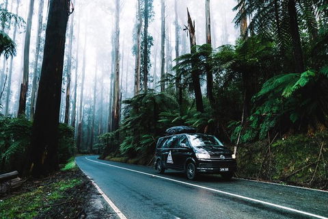 Small Group: Mornington Peninsula Hike And Hot Springs Day Tour From Melbourne - Accommodation Georgetown 8