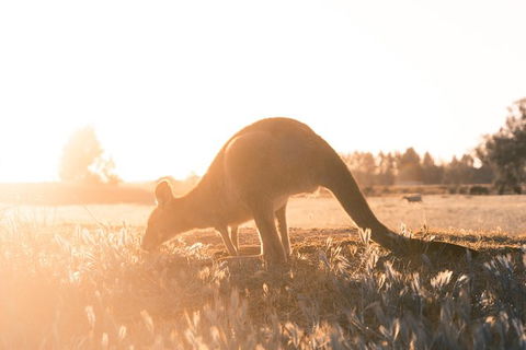 Small Group: Mornington Peninsula Hike And Hot Springs Day Tour From Melbourne - Accommodation Georgetown 6