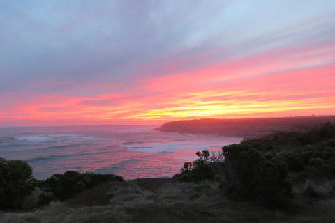 3-Day Small-Group Great Ocean Road And Australian Wildlife Tour From Melbourne - Accommodation Georgetown 6