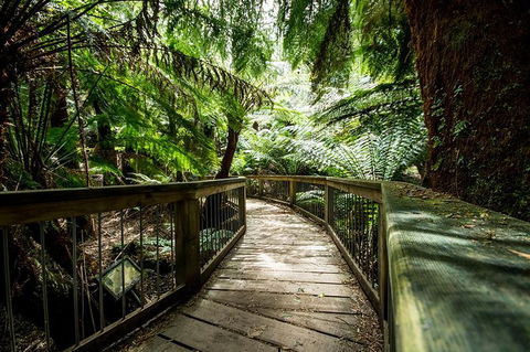 Small-Group Great Ocean Road Tour Experience With Eureka Skydeck Admission - Accommodation Georgetown 5