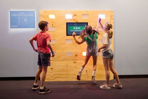 Sports Tour Of Melbourne With Australian Sports Museum Access - Accommodation Georgetown 11