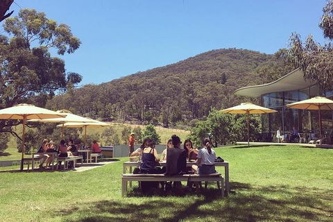 CHEVY CONVERTIBLE Package For 2 People- Wine Lunch Cheese & Chocolate From Melb. - Accommodation Georgetown 6