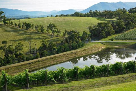 CHEVY CONVERTIBLE Package For 2 People- Wine Lunch Cheese & Chocolate From Melb. - Accommodation Georgetown 9