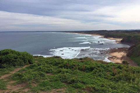 Half Day Phillip Island Woolamai Walking Tour - Accommodation Georgetown 0
