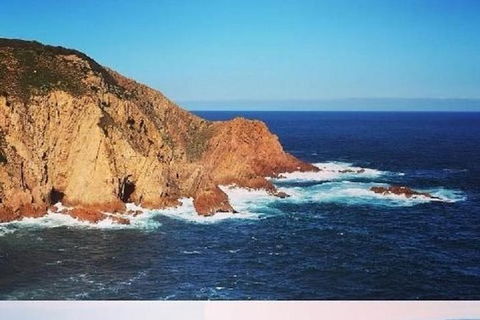 Half Day Phillip Island Woolamai Walking Tour - Accommodation Georgetown 6
