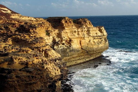 Half Day Phillip Island Woolamai Walking Tour - Accommodation Georgetown 12