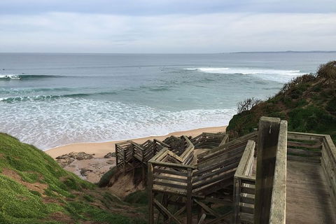 Half Day Phillip Island Woolamai Walking Tour - Accommodation Georgetown 5