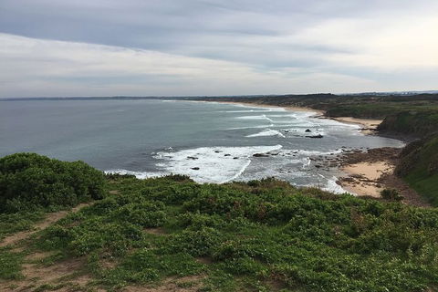 Half Day Phillip Island Woolamai Walking Tour - Accommodation Georgetown 10