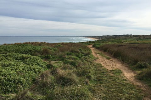 Half Day Phillip Island Woolamai Walking Tour - Accommodation Georgetown 3