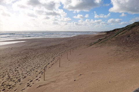 Half Day Phillip Island Woolamai Walking Tour - Accommodation Georgetown 7