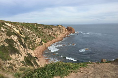 Half Day Phillip Island Woolamai Walking Tour - Accommodation Georgetown 2