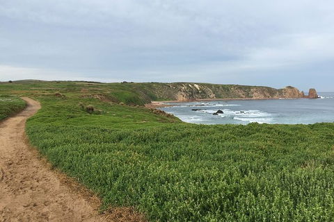 Half Day Phillip Island Woolamai Walking Tour - Accommodation Georgetown 9