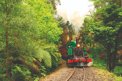 Half Day Puffing Billy Train Journey From Melbourne - Accommodation Georgetown 2