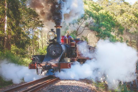 Half Day Puffing Billy Train Journey From Melbourne - Accommodation Georgetown 4