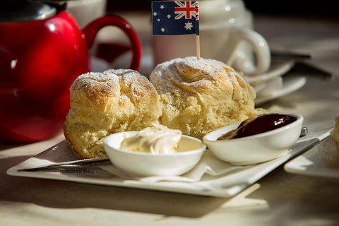 Half Day Puffing Billy Train Journey From Melbourne - Accommodation Georgetown 5