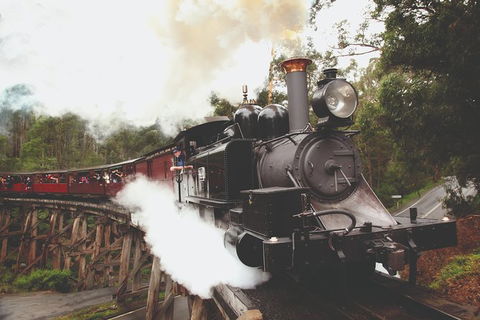 Half Day Puffing Billy Train Journey From Melbourne - Accommodation Georgetown 3