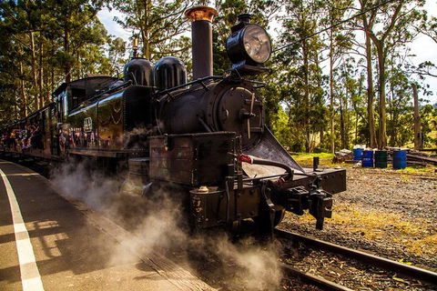 Half Day Puffing Billy Train Journey From Melbourne - Accommodation Georgetown 6