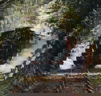 West Coast Wilderness Railway River and Rainforest from Strahan - Accommodation Georgetown