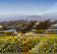 Josef Chromy Wines Winery Tour Including Tasting and Lunch - Accommodation Georgetown