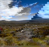 6-Day Overland Track PhotoTour - Accommodation Georgetown